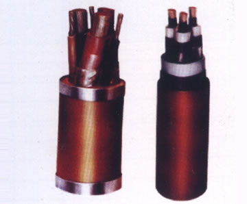 0.3/0.5kv(j)V@ԴMT818-1999